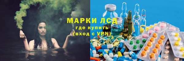 гашик Богданович