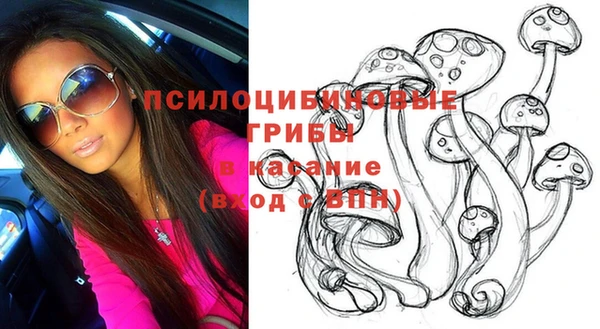 ГАЛЛЮЦИНОГЕННЫЕ ГРИБЫ Богородицк