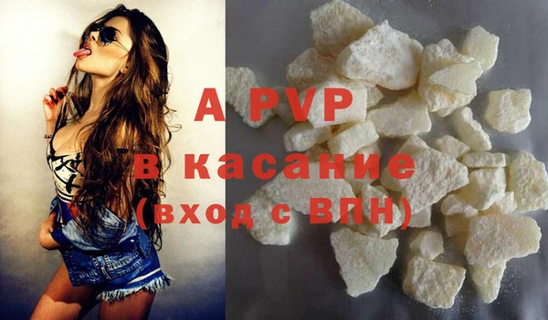 гашик Богданович
