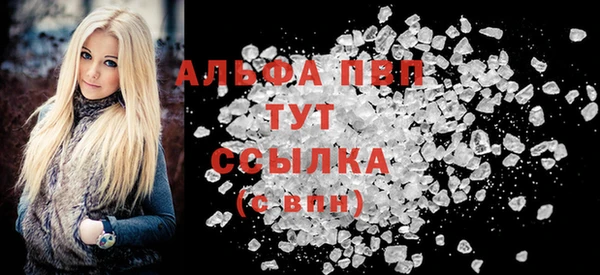 гашик Богданович