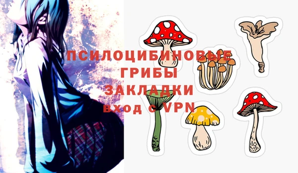 гашик Богданович