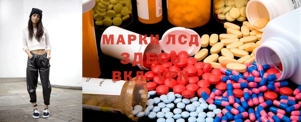 гашик Богданович