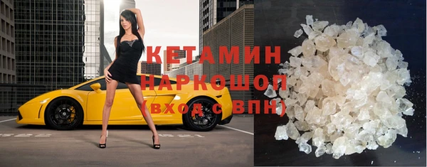 гашик Богданович