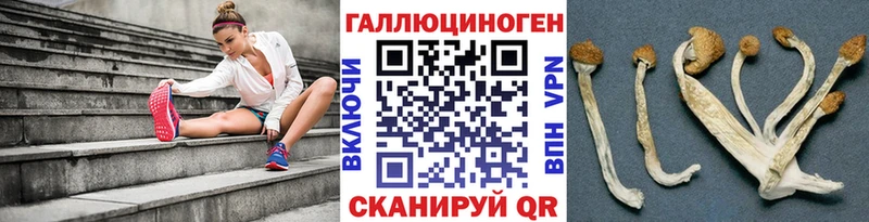 закладки  Облучье  Псилоцибиновые грибы ЛСД 